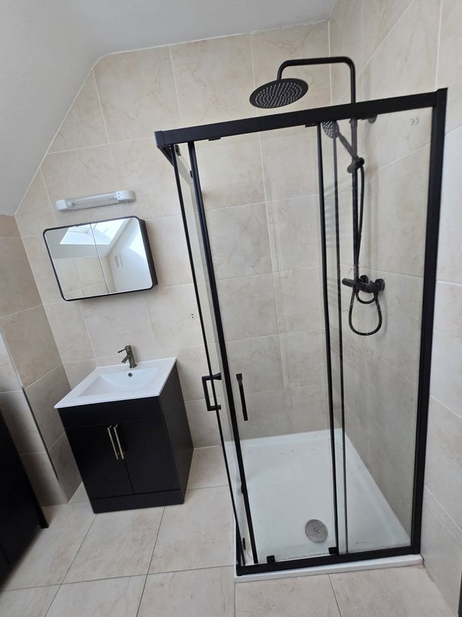 After – black-frame shower & vanity